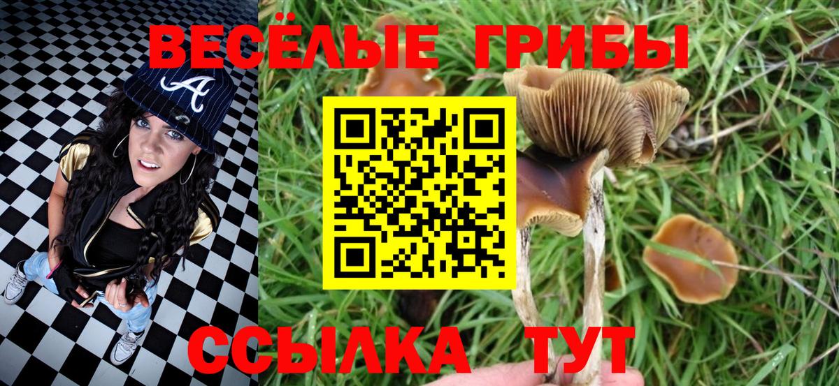 Галлюциногенные грибы Psilocybe  Псилоцибиновые грибы MAGIC MUSHROOMS  Вход с VPN  Белая Калитва 